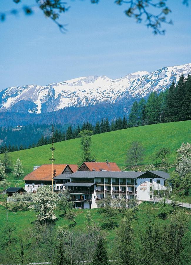 Ausflugshotel Huttersberg Kirchdorf an der Krems Εξωτερικό φωτογραφία